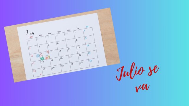 Julio se va.jpg