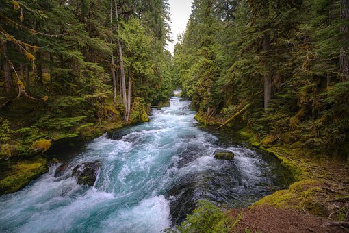 mckenzie-river-5129717__340.jpg