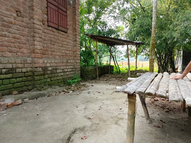 1000041619.jpg