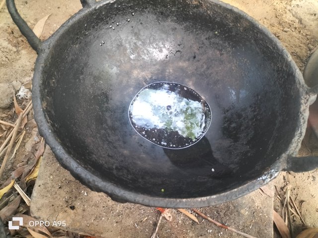 IMG20250613084437.jpg