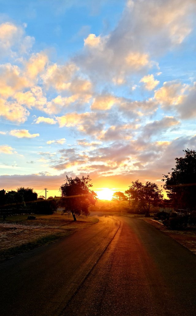 sunset road.jpeg