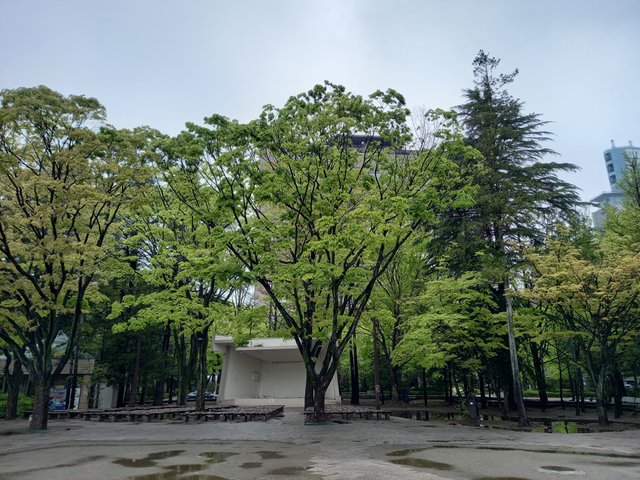 20250510_102018.jpg