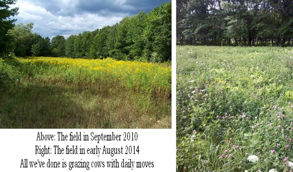 10 acre piece comparison1 crop  text.jpg