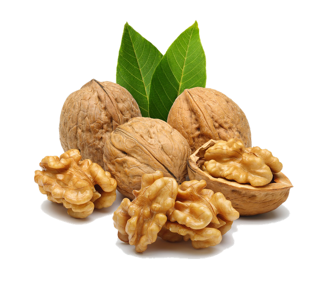 walnuts.png