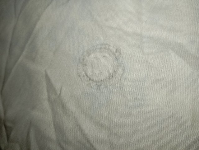 1000049564.jpg