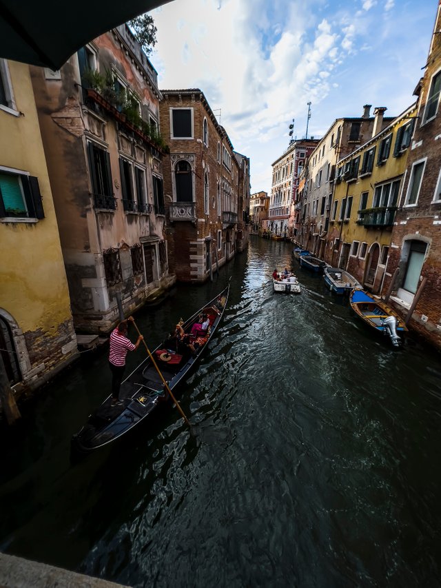 IMG_4463.jpg