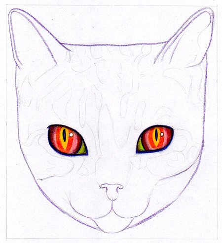 coloring-the-cats-eyes.jpg