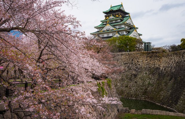 osaka-castle-japan-1018.jpg