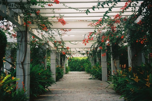 Sydney Landscaping - Amazing Arbours