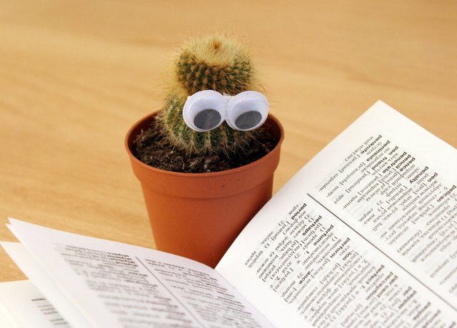 cactus-eyes-book-pot-159840.jpeg