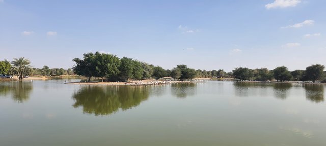 Flamingo Lake3.jpg