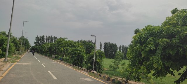 IMG_20250718_092958.jpg