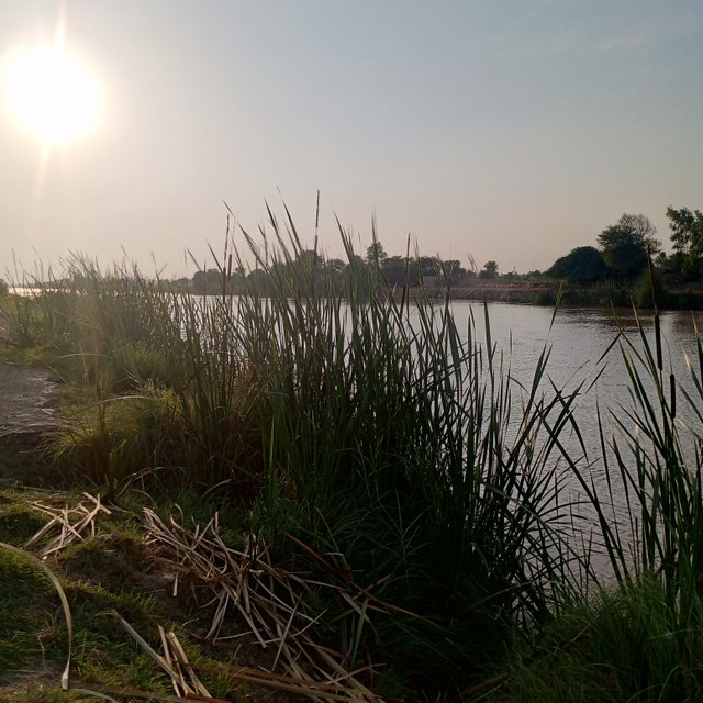 IMG_20250822_173747_996.jpg