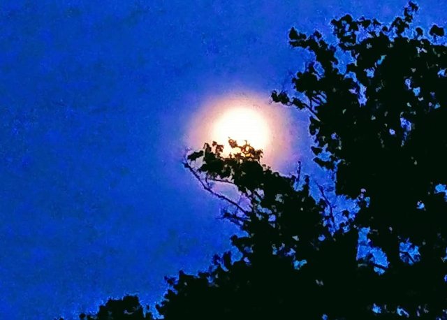 blue sky moon.jpg