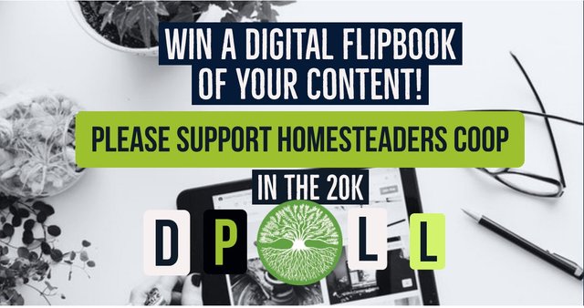 win a digital flipbook of you content Please support Homesteaders Coop 1200 x 633.jpg