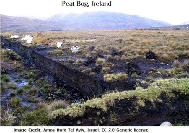 Peat2 bog-Ireland Amos from Tel Aviv, Israel 2.0.jpg