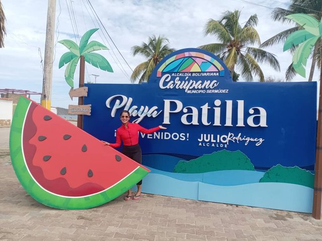 patilla3.jpg