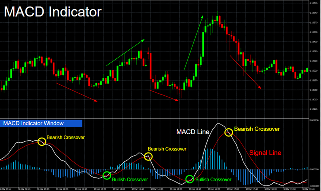 macd-indicator.png