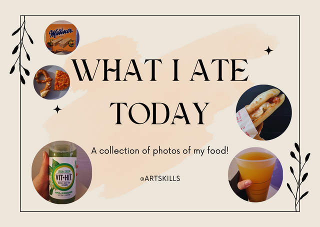 WHAT I ATE TODAY1.png