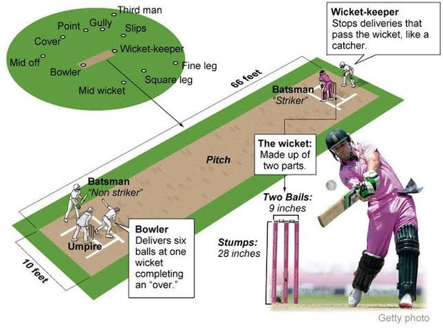 The basics of cricket, explained - Chicago Tribune.jpg