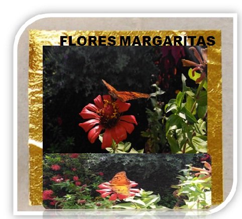 flores MARGARITA 2.jpg