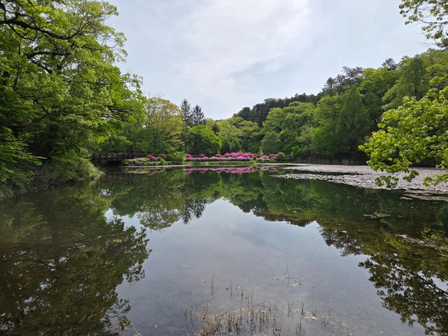 20250506_094641.jpg