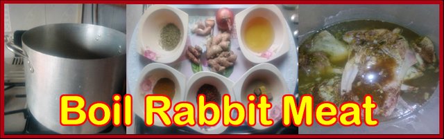 boil-the-rabbit-meat.jpg