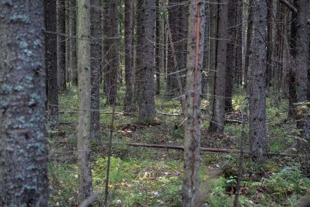 DSC06030.jpg
