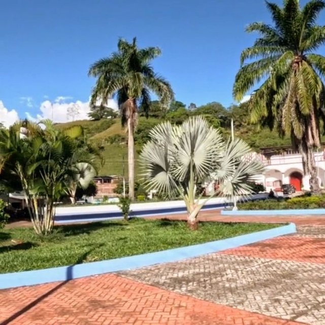 4867872506517621.jpg