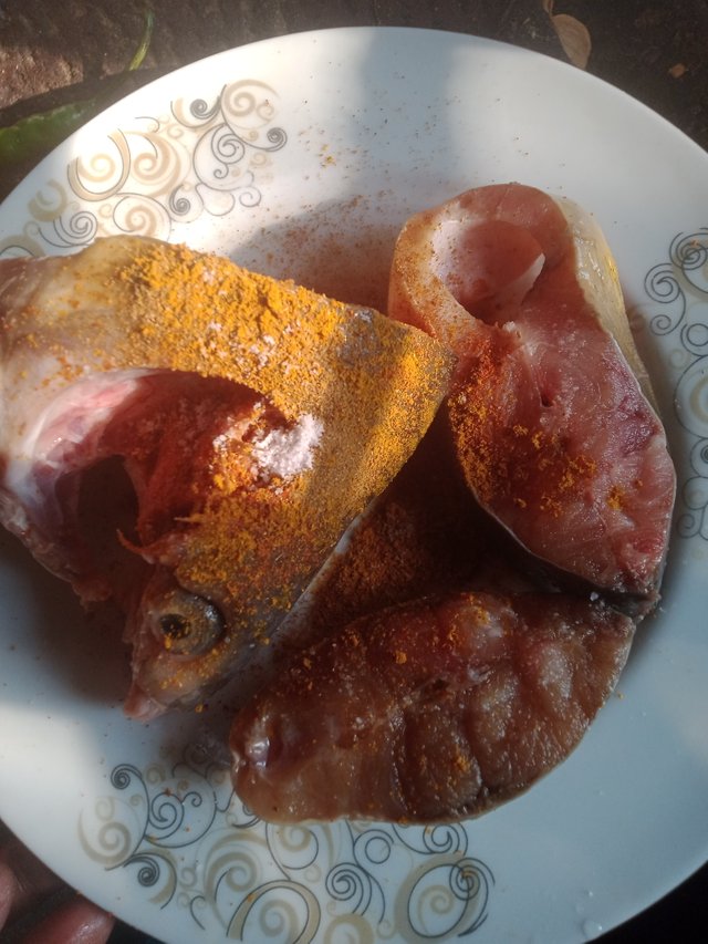 IMG20241117152209.jpg