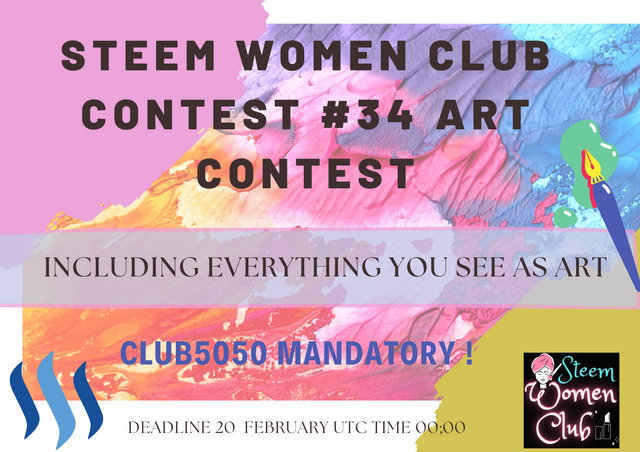 Steem Women CLub COntest #34  ART CONTEST.png