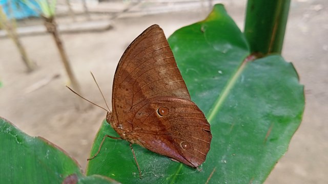 IMG20250520151949.jpg
