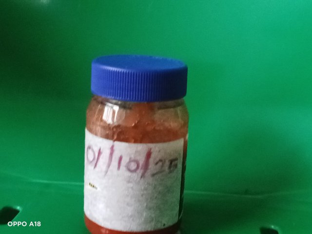 IMG20251001180209.jpg