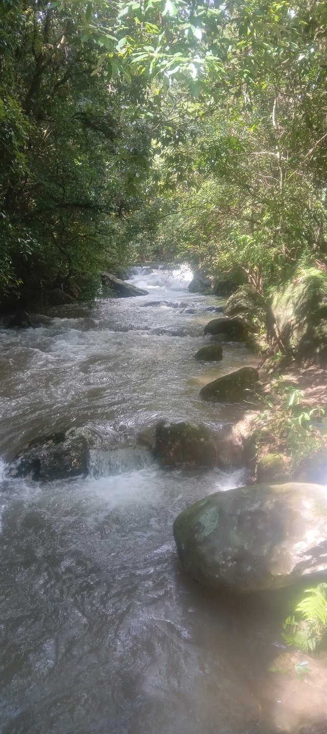 20250819_141920.jpg