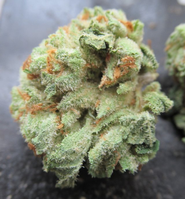 nugbottomtopsingleleftnarrow.jpg