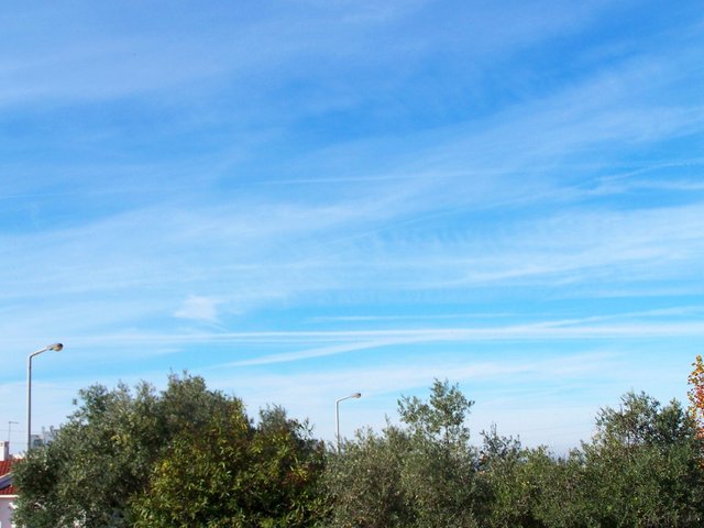 100_2071 0912 steemit.JPG