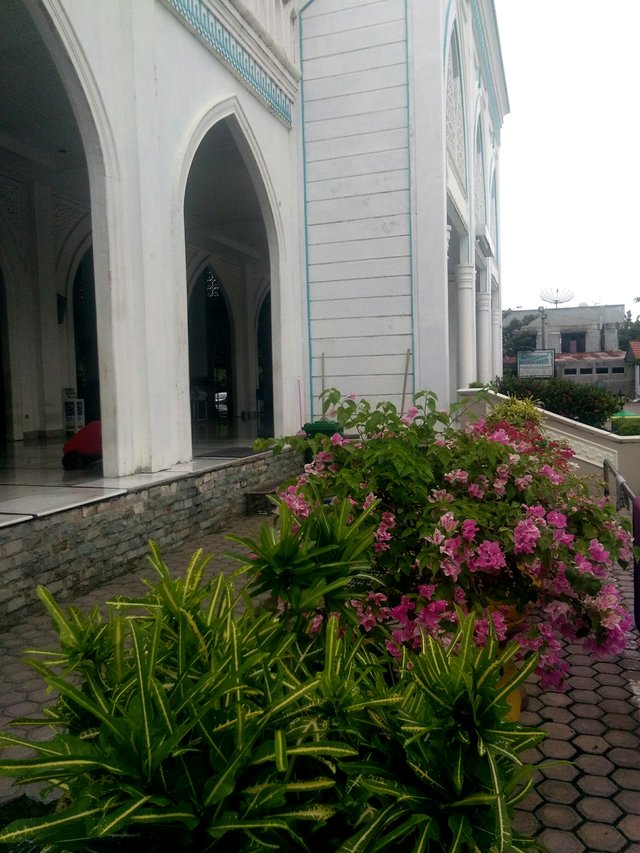 Taman bunga di masjid .JPG