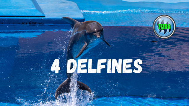 4 Delfines.png