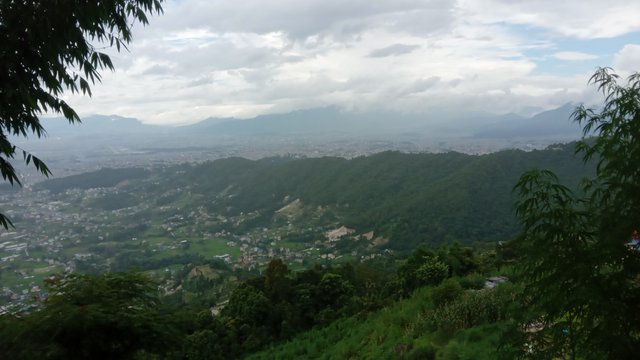 20250730_133406.jpg