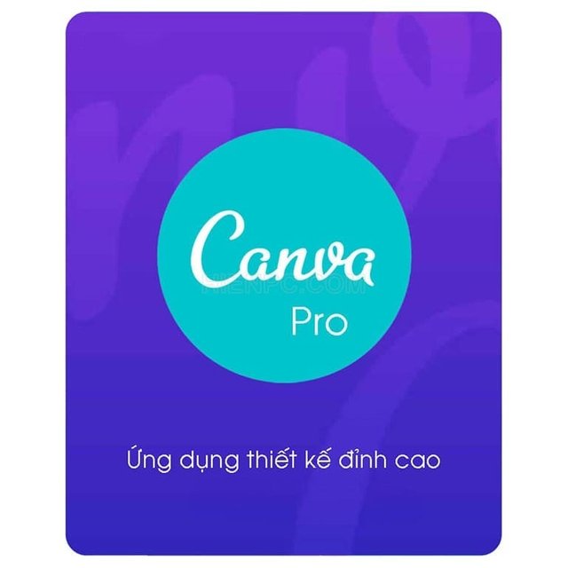 nang-cap-canva-pro-gia-re-min.jpg