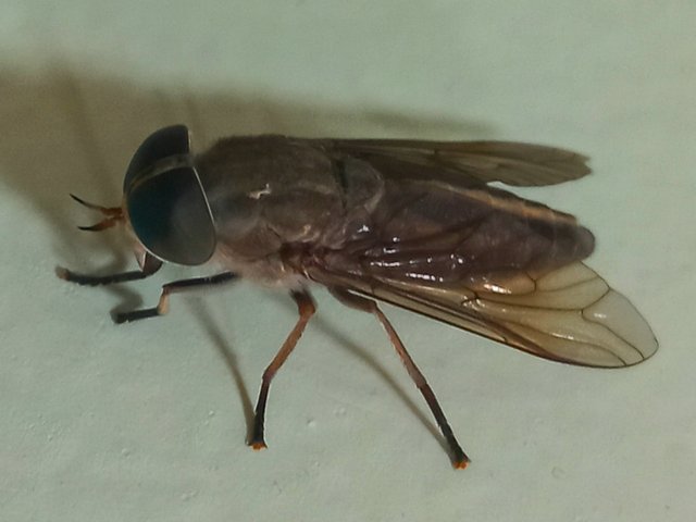 20241017_152726.jpg