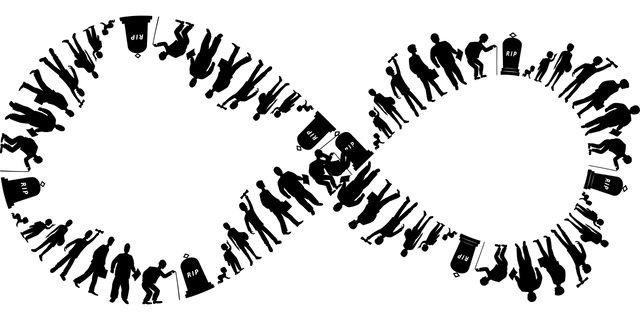 life-gdd053b094_1280.png
