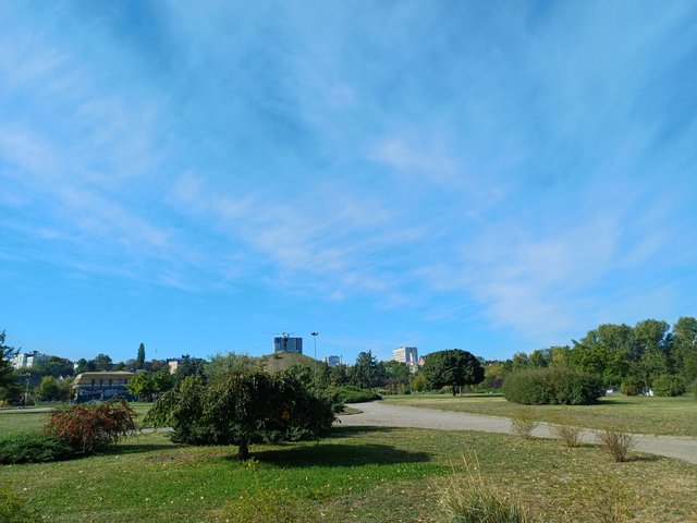 20250927_095917.jpg
