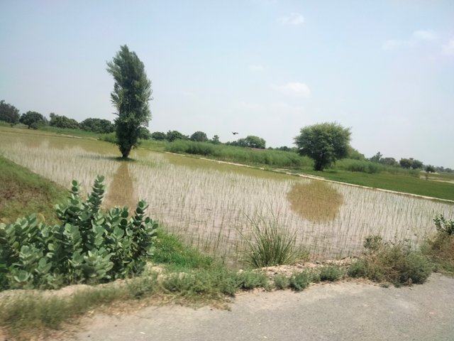 IMG20250805115243.jpg