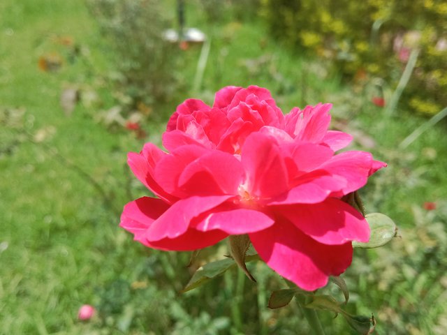 IMG_20250720_200555.jpg