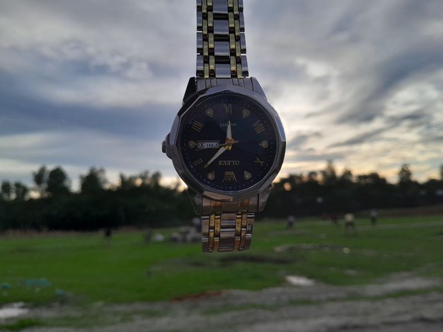 1000065689.jpg