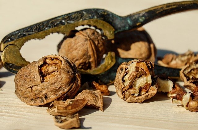 walnut-1751661_640.jpg
