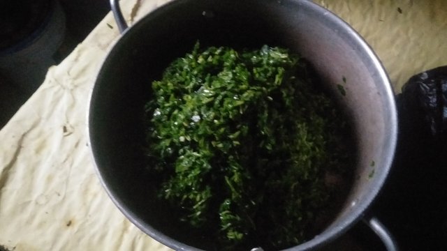 IMG20250528165827.jpg