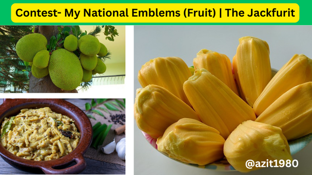 Contest- My National Emblems (Fruit)  The Jackfurit.png