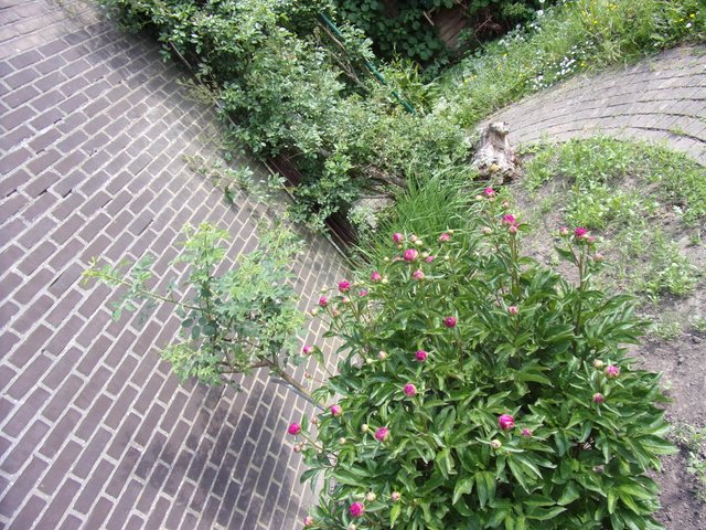 100_2671.JPG